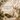 Whimsical Forest - Whimsical Kids