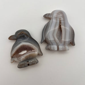 Achat - Pinguin