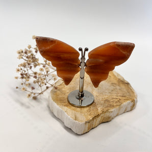 Orangencalcit Schmetterling – dein Sonnenflügel für Freude, Energie & Leichtigkeit