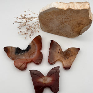 Karneol Schmetterling – Wandlung, Lebensfreude & innere Stärke