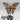 Ocean Jaspis Butterfly – Sanftmut, Regeneration & emotionale Heilung