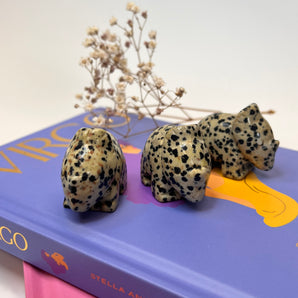 Dalmatinerjaspis Dino – Verspielte Erdung & kindliche Kraft