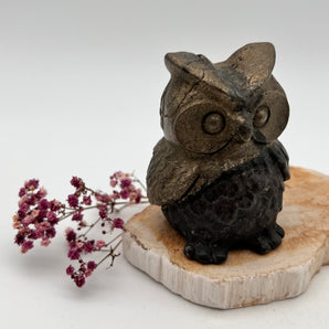 Pyrit-Eule – Weisheit, Schutz & magnetische Fülle