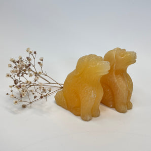 Orangencalcit Hund – Freude, Treue & Sonnenschein