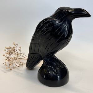 Obsidian Rabe XL – Wächter der Schatten, Hüter des Lichts