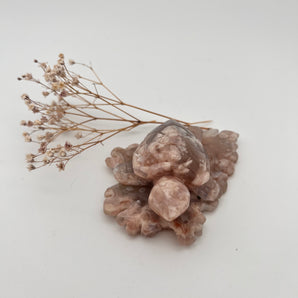 Kirschblüten Achat - Schildkröte 5