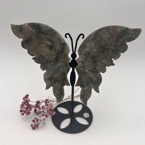 Labradorit Butterfly mit Sunset Flash – Wandel, Licht & Seelenschimmer