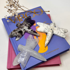 Libelle – Dein Lichtwesen für Wandel & Leichtigkeit