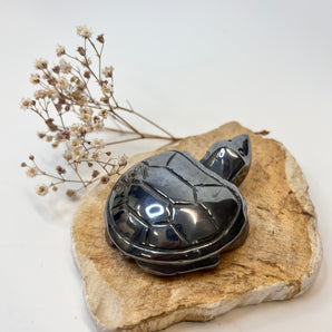 Hämatit Schildkröte – Erdung, Schutz & innere Stärke