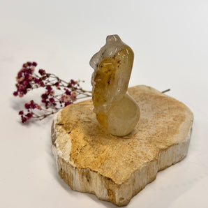 Golden Healer Body schwanger – dein Lichtgefäß für Heilung, Geborgenheit & Urvertrauen