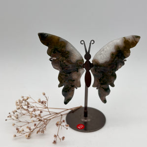 Moosachat / Baumachat - Schmetterling