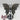 Labradorit Schmetterling – Wandel & Intuition