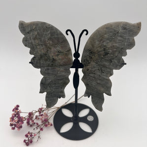 Labradorit Butterfly mit Purple Flash – Intuition, Magie & Transformation