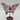 Blumenachat - Schmetterling N