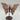 Blumenachat - Schmetterling T