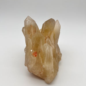 Citrin Rohstein Cluster – Manifestationskraft pur