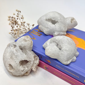 Bergkristall Cluster Schildkröte – Lichtträgerin der Ewigkeit