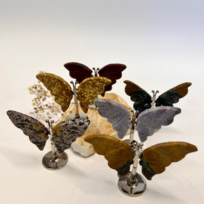 Ozean Jaspis Schmetterling – dein Seelenbegleiter für Freude, Wandel & Harmonie