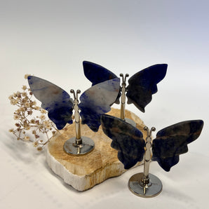 Sodalith Schmetterling – dein Flügel der Klarheit, Wahrheit & Transformation