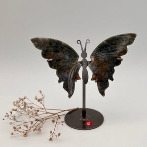 Ocean Jaspis - Schmetterling