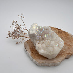 Aura-Cluster in Perlglanzweiß