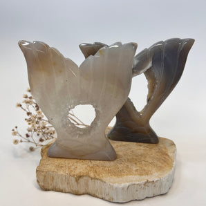 Achat-Flosse – Wellen der Wandlung