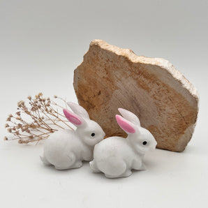 Jade Kaninchen – Sanftmut, Glück & Neubeginn