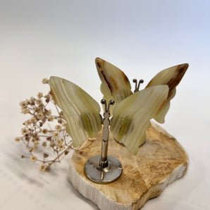 Pistaziencalcit Schmetterling – dein Herzflügel für Erneuerung, Leichtigkeit & Heilung