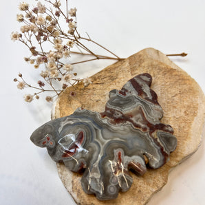 Mexican Lace Achat Schmetterling – Wandlung & Erdung mit Anmut