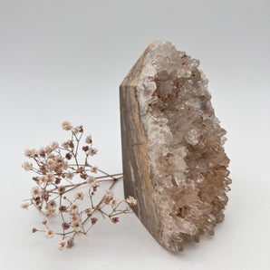 Bergkristall Cluster – Lichtquelle & Klarheitsbringer