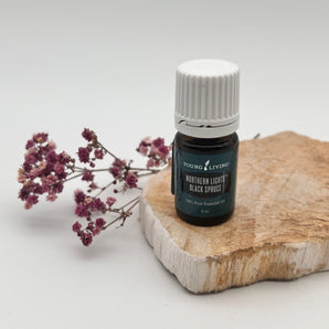 Schwarzfichte / Northern Lights Black Spruce - ätherisches Öl 5ml Young Living