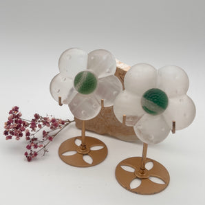Selenit mit Fluorit – „Daisy“ Blume der Klarheit & Zentrierung