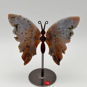 Crazy Lace Achat - Schmetterling W