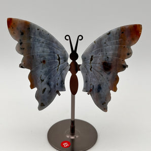 Crazy Lace Achat - Schmetterling Y