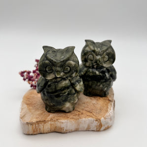 Jade Eule - Herz & Harmonie