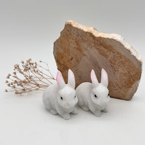 Jade Kaninchen – Sanftmut, Glück & Neubeginn