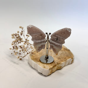 Kirschblütenachat Schmetterling – dein Blütenflügel für Wachstum, Sanftmut & Herzensfreude