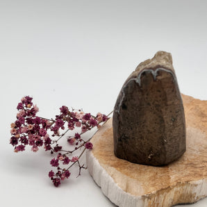 Citrin Cluster – Fülle, Lebensfreude & Manifestationskraft