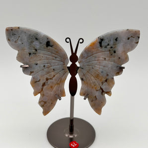 Crazy Lace Achat - Schmetterling Z