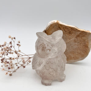 Bergkristall Eule – Weisheit im Licht