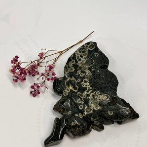 Chrysanthemenstein Fee – Blüte der inneren Ruhe & Balance