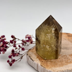 Citrin Spitze (High Quality) – Fülle, Klarheit & leuchtende Ausstrahlung