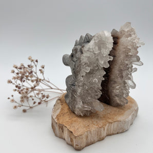 Ocean Light – Seepferdchen Carving aus Bergkristall-Cluster