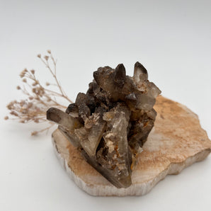 Rauchquarz – Erdender Schutz-Cluster