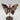Blumenachat - Schmetterling 141