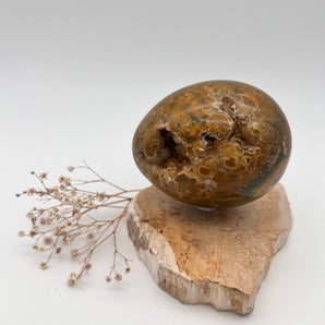 Ocean Jaspis Ei – Zyklus, Heilung & Lebensfreude