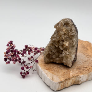 Citrin Cluster – Fülle, Lebensfreude & Manifestationskraft