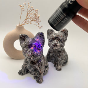 Yooperlite - French Bulldog