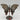 Ocean Jaspis - Schmetterling R