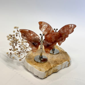 Feuerquarz Schmetterling (Red Healer) – dein Lichtflügel für Lebensfreude, Heilung & Transformation
